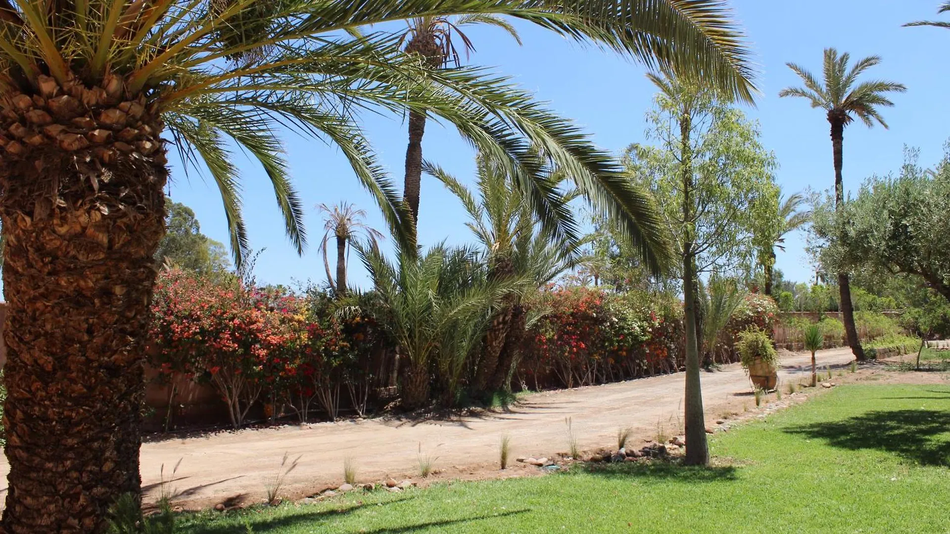 Guest house Villa Dar 55 - Berber House Marrakesh