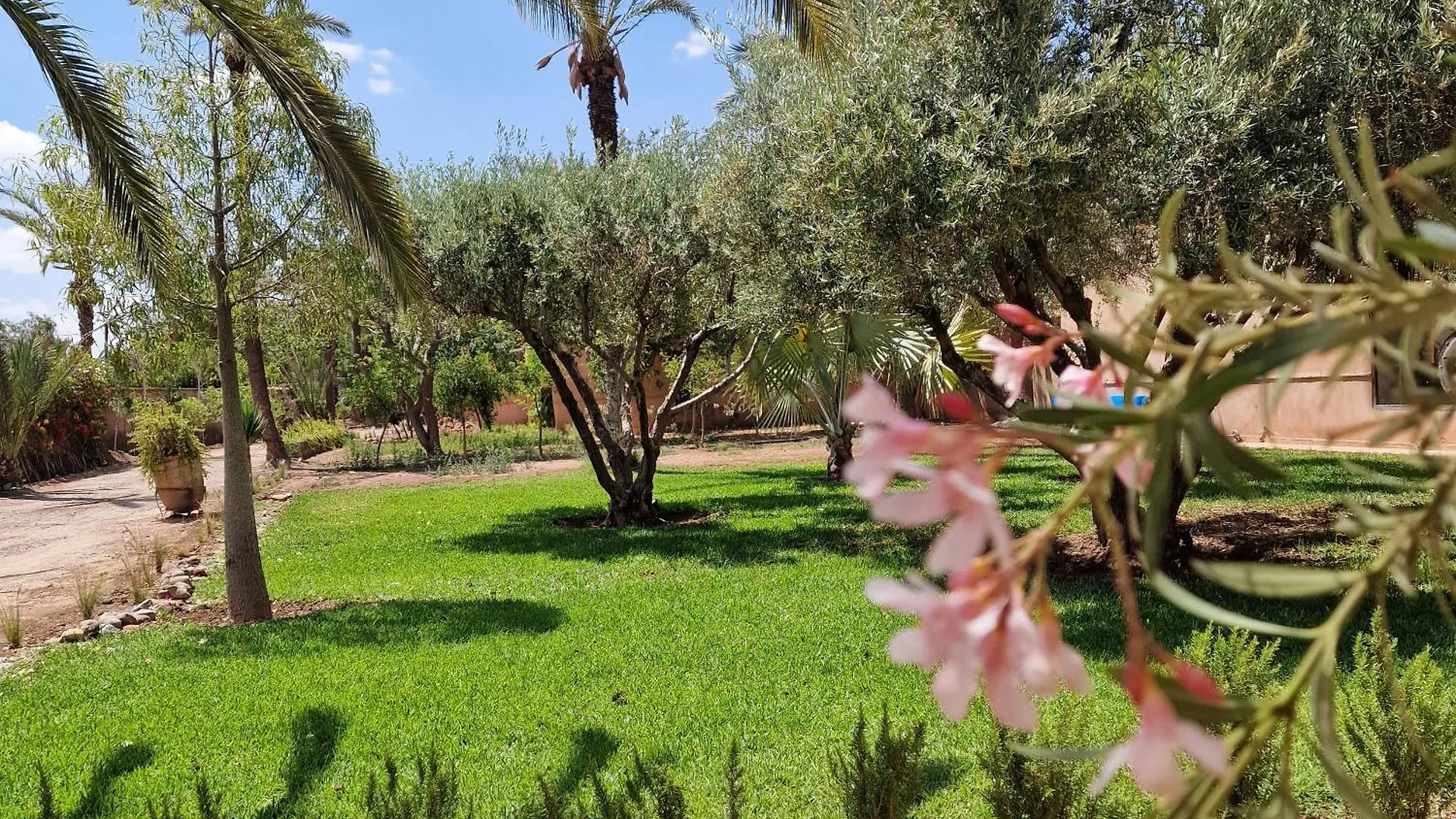 Villa Dar 55 - Berber House Marrakesh 4*,  Morocco
