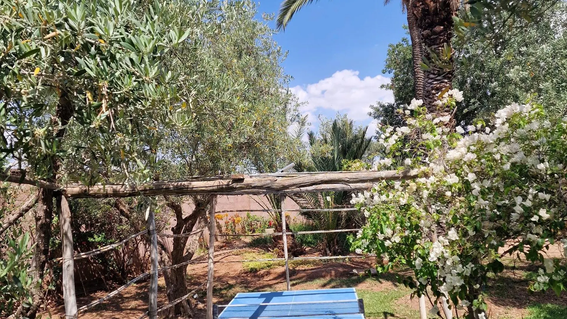 Villa Dar 55 - Berber House Marrakesh Guest house