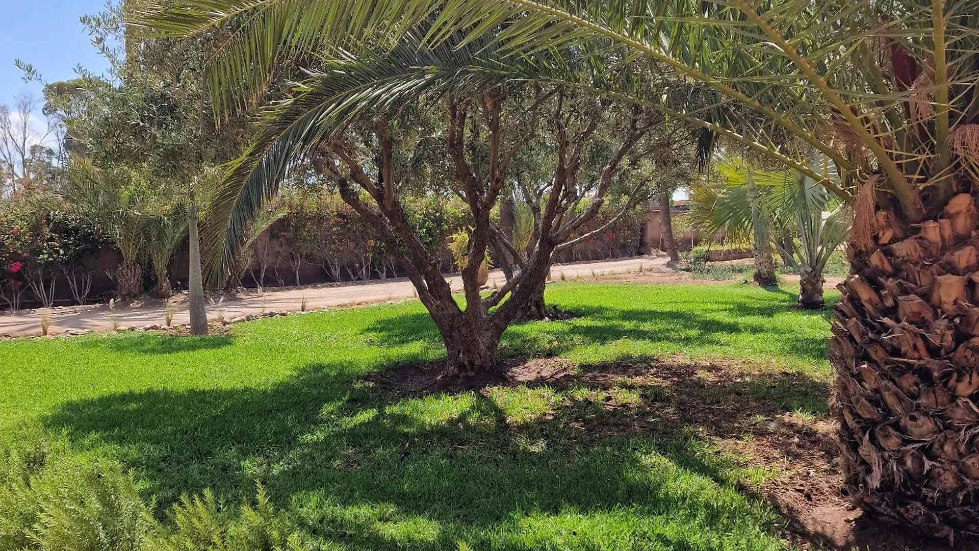 Guest house Villa Dar 55 - Berber House Marrakesh